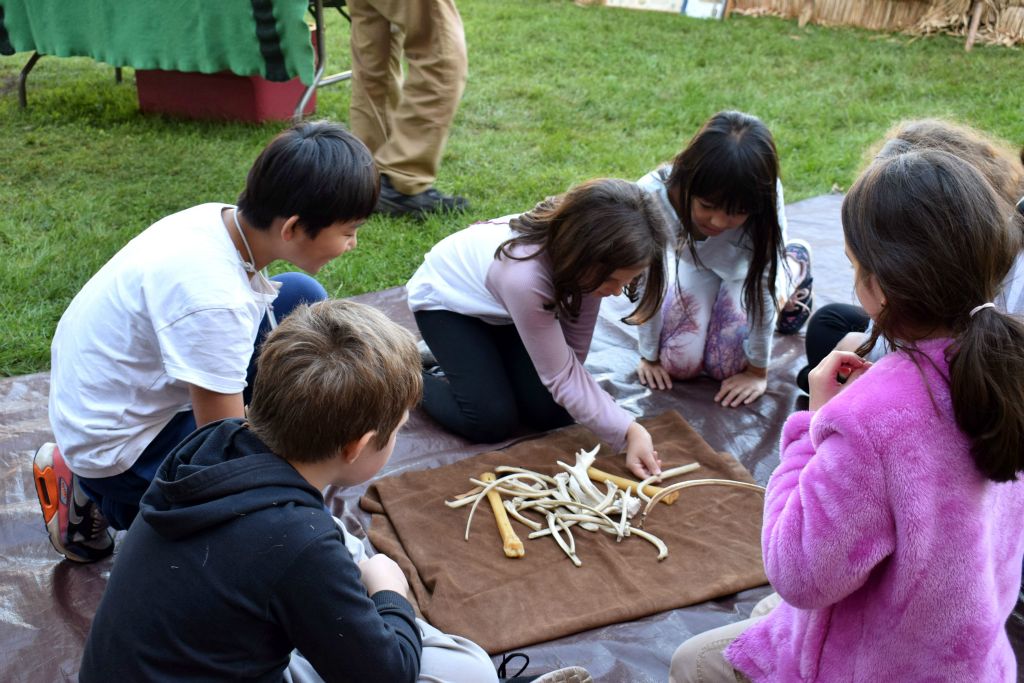 students with animal bones 